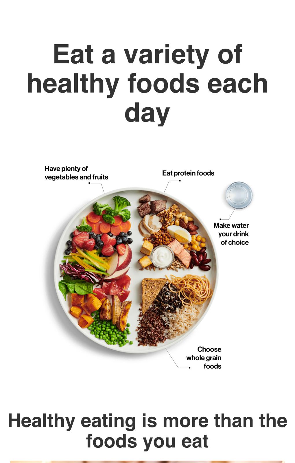 Healthy Nutrition Plans Icon