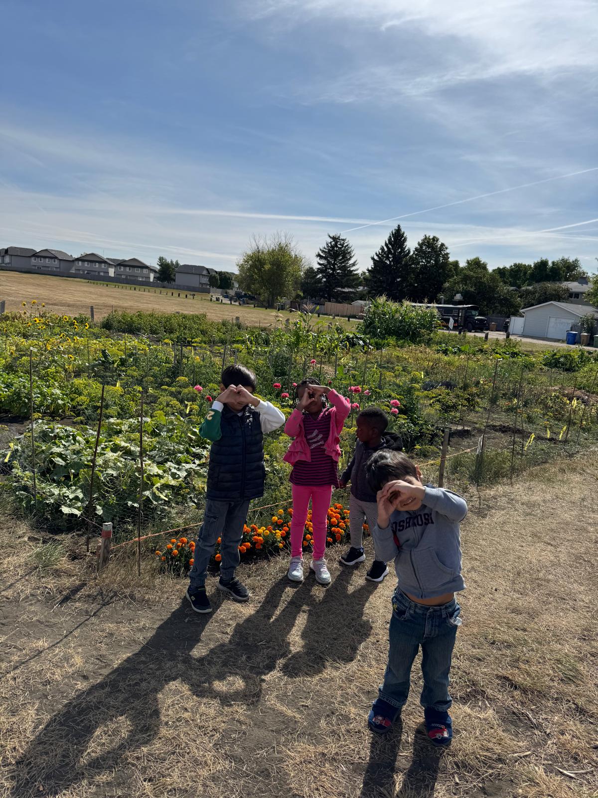 Outdoor playground at Glencairn childcare